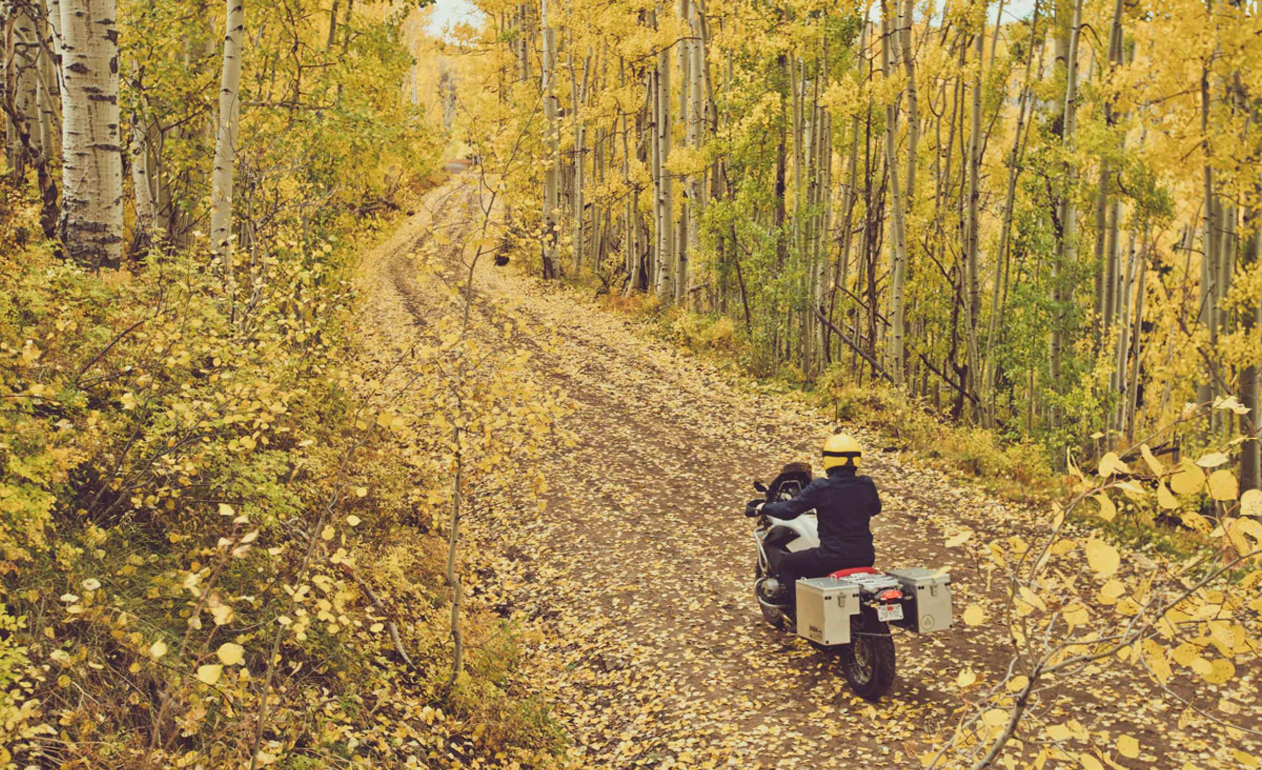 man riding motorcycle