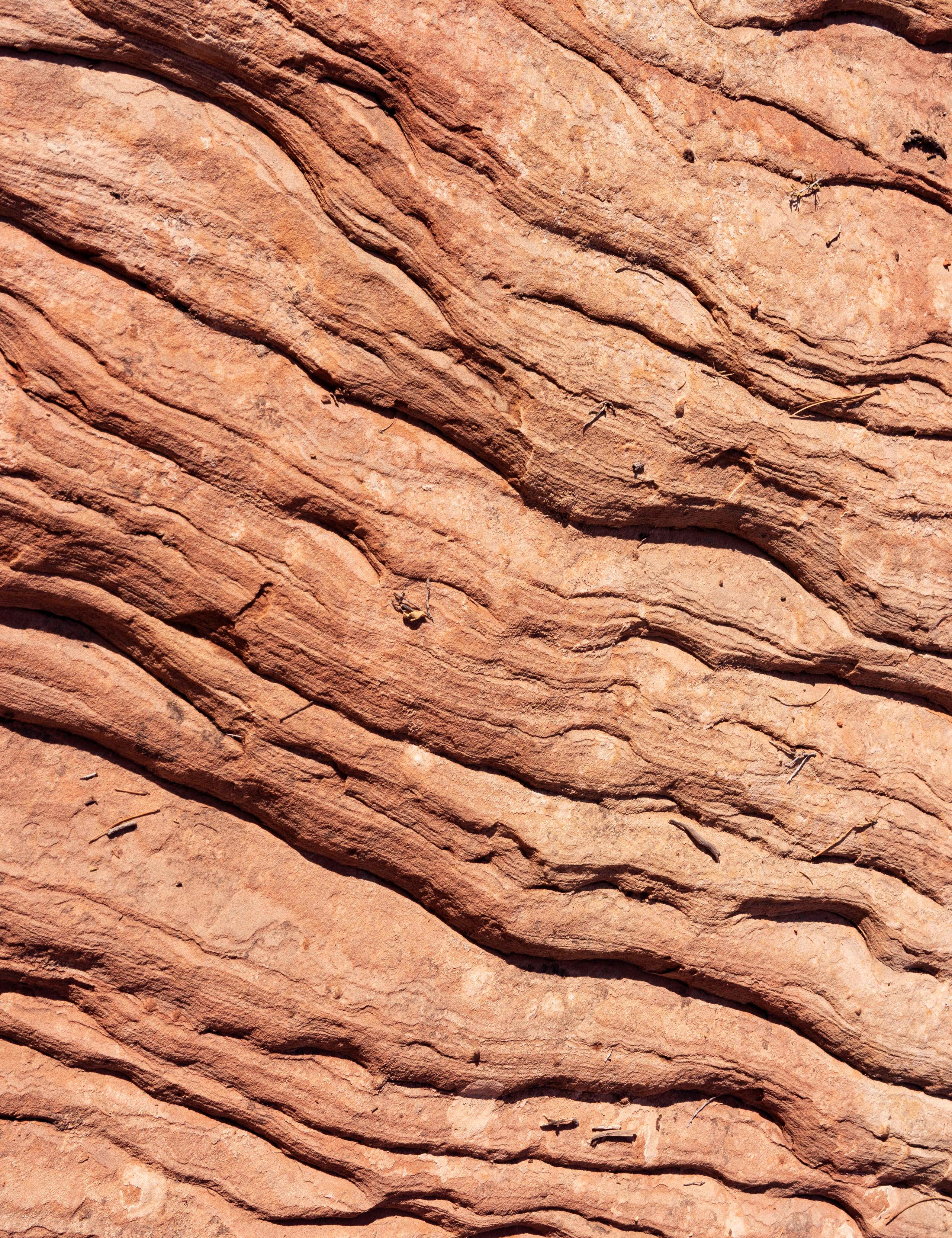 Detail of rock wall texture in Zion, Utah