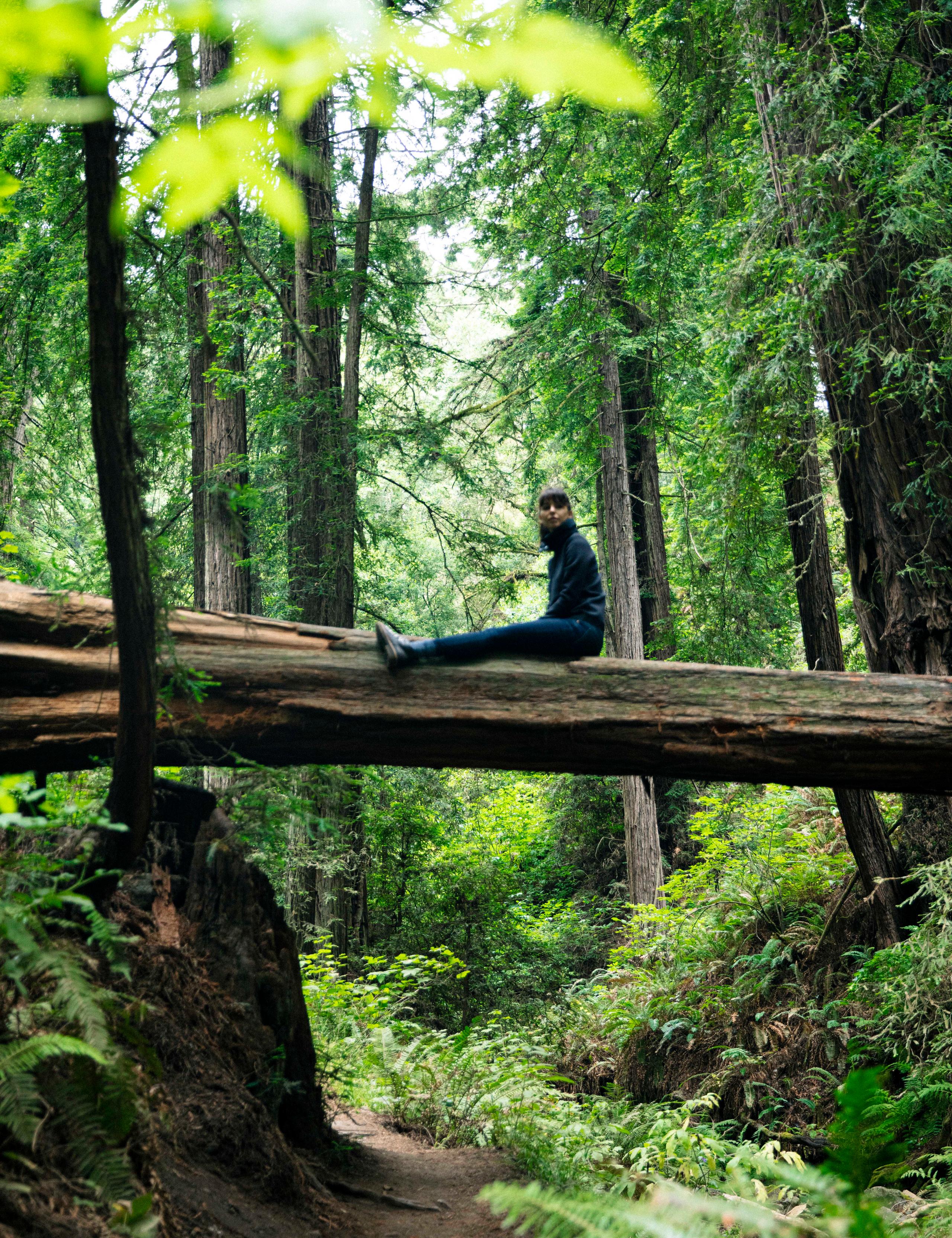 A woman wearing Align Pullover sitting in a forrest.