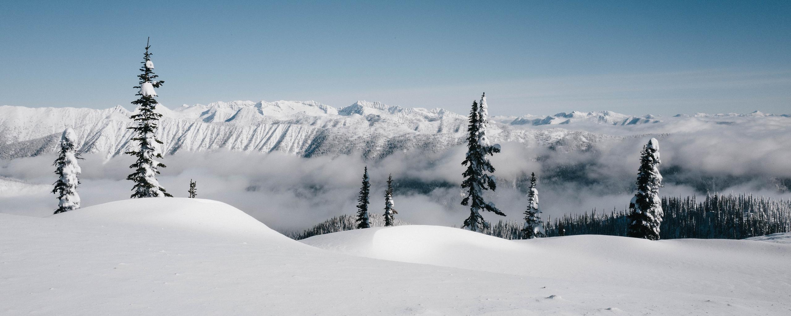 Snowy landscape with blue skies on Bladface Mountain in British Columbia, Canada