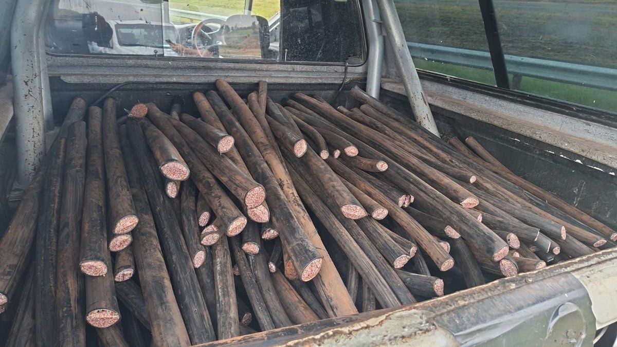 Six Illegal Foreigners Nabbed in Gauteng for Cable Theft and ...