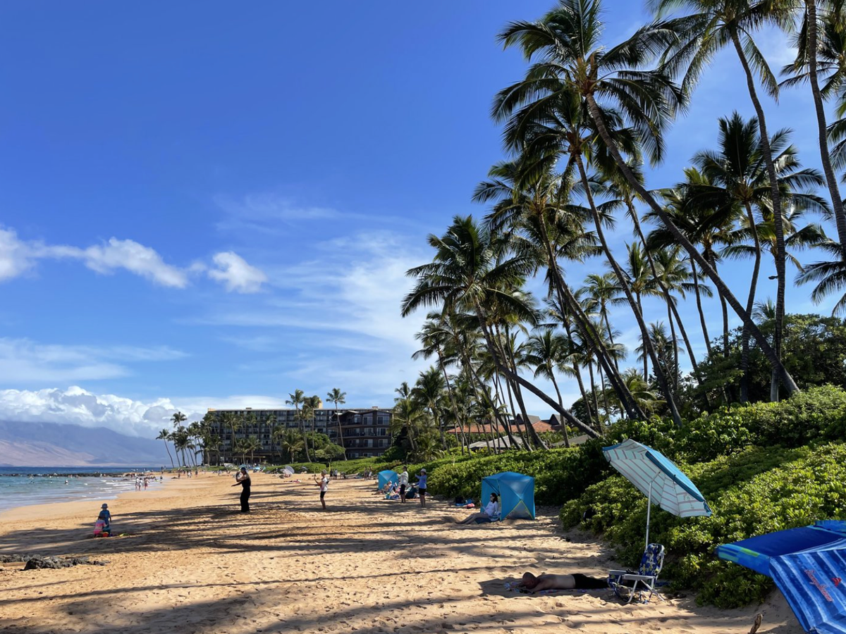 Where to Eat on Maui