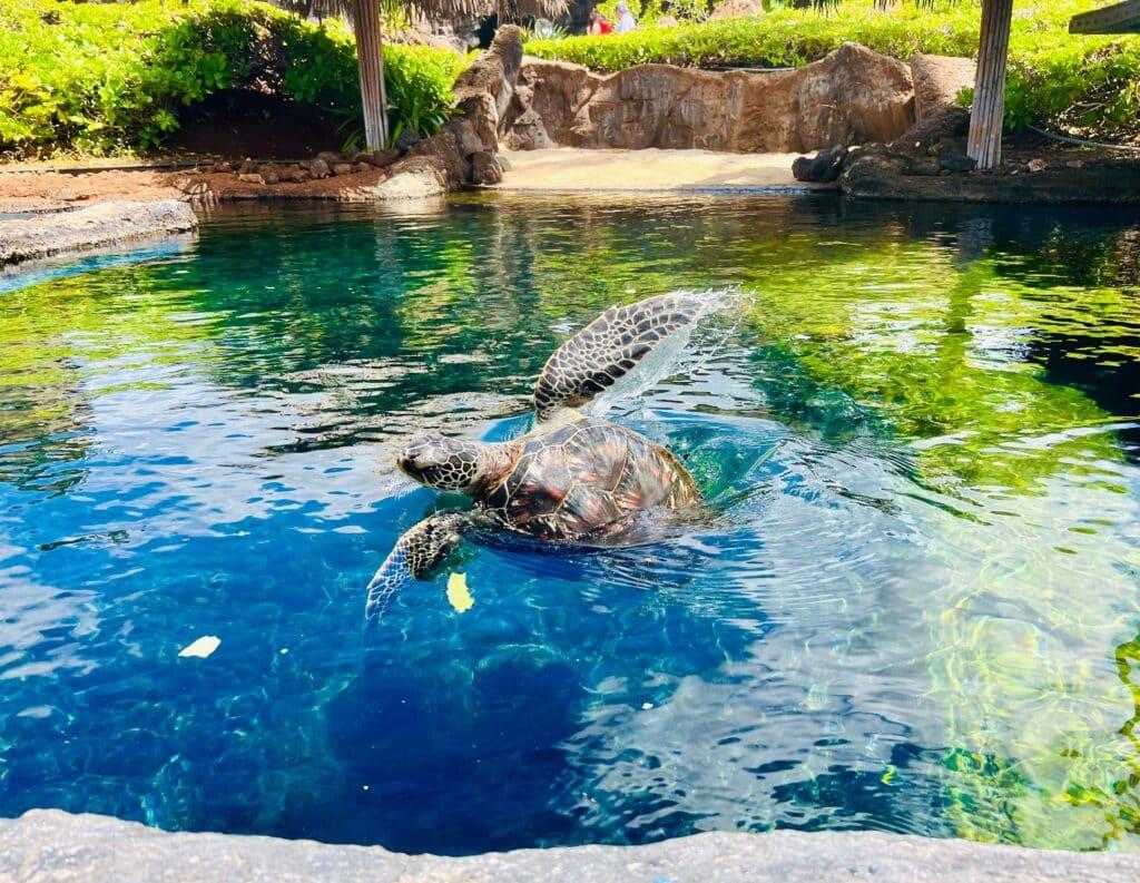 Family-Friendly Things To Do in Maui | Hawaii.com