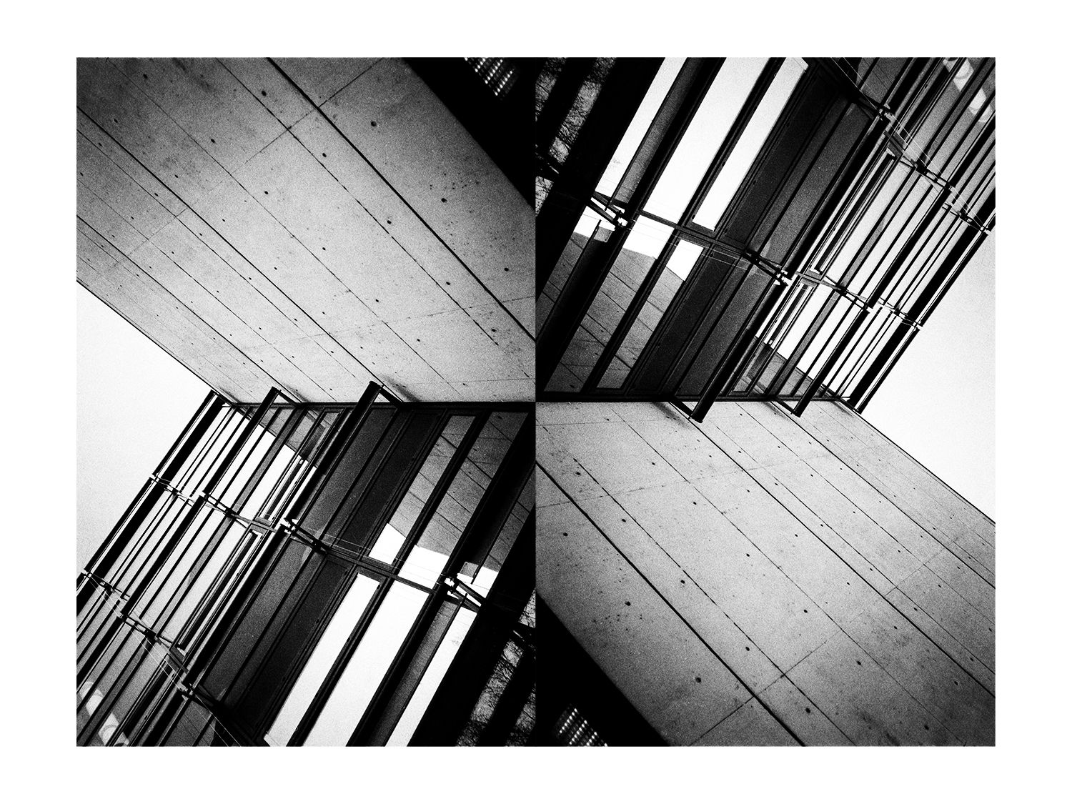 collage_polytech