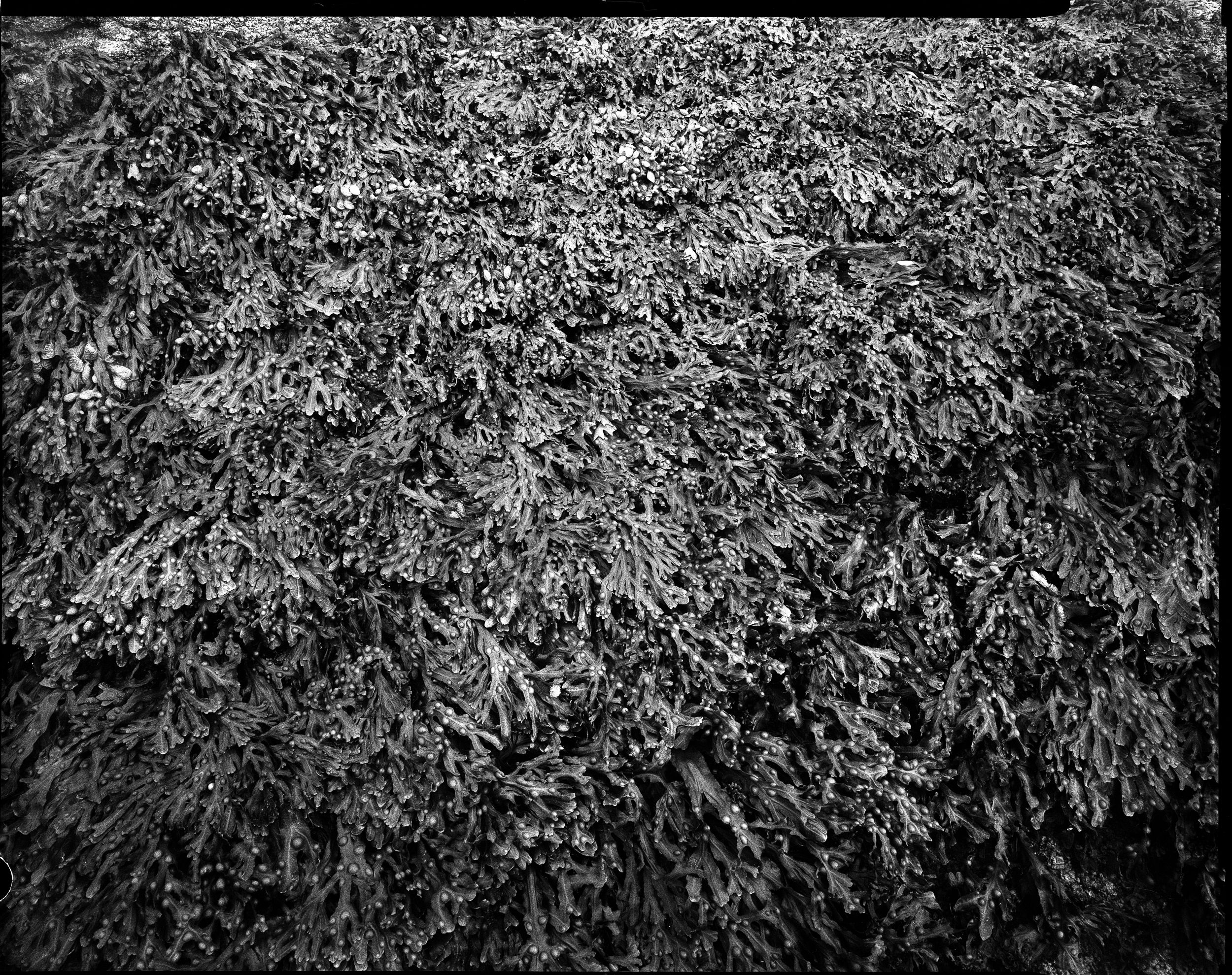 20230824 (9)-Panorama