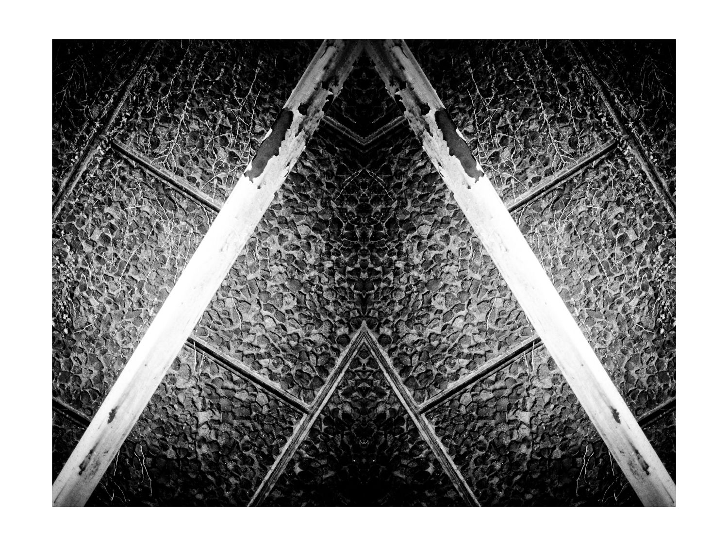 collages-5