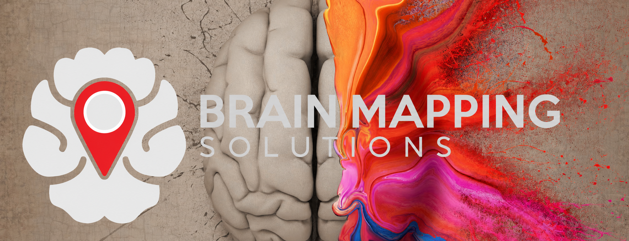 Brain Mapping Solutions