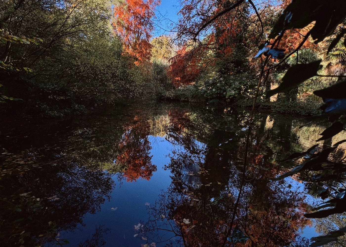 The main image for this blog post