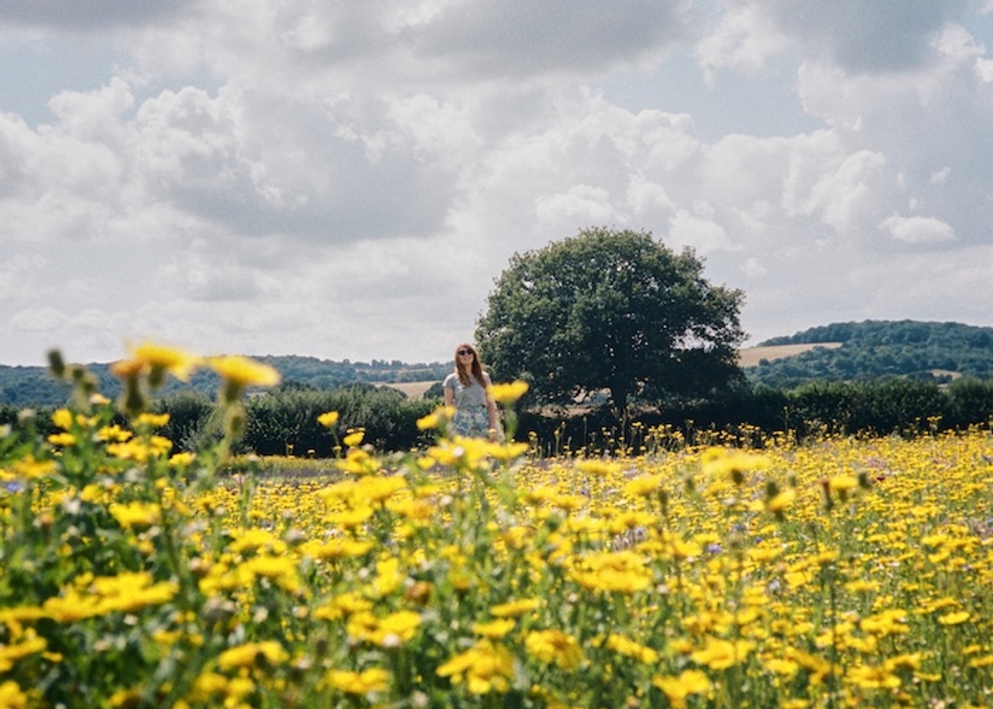 The main image for this blog post