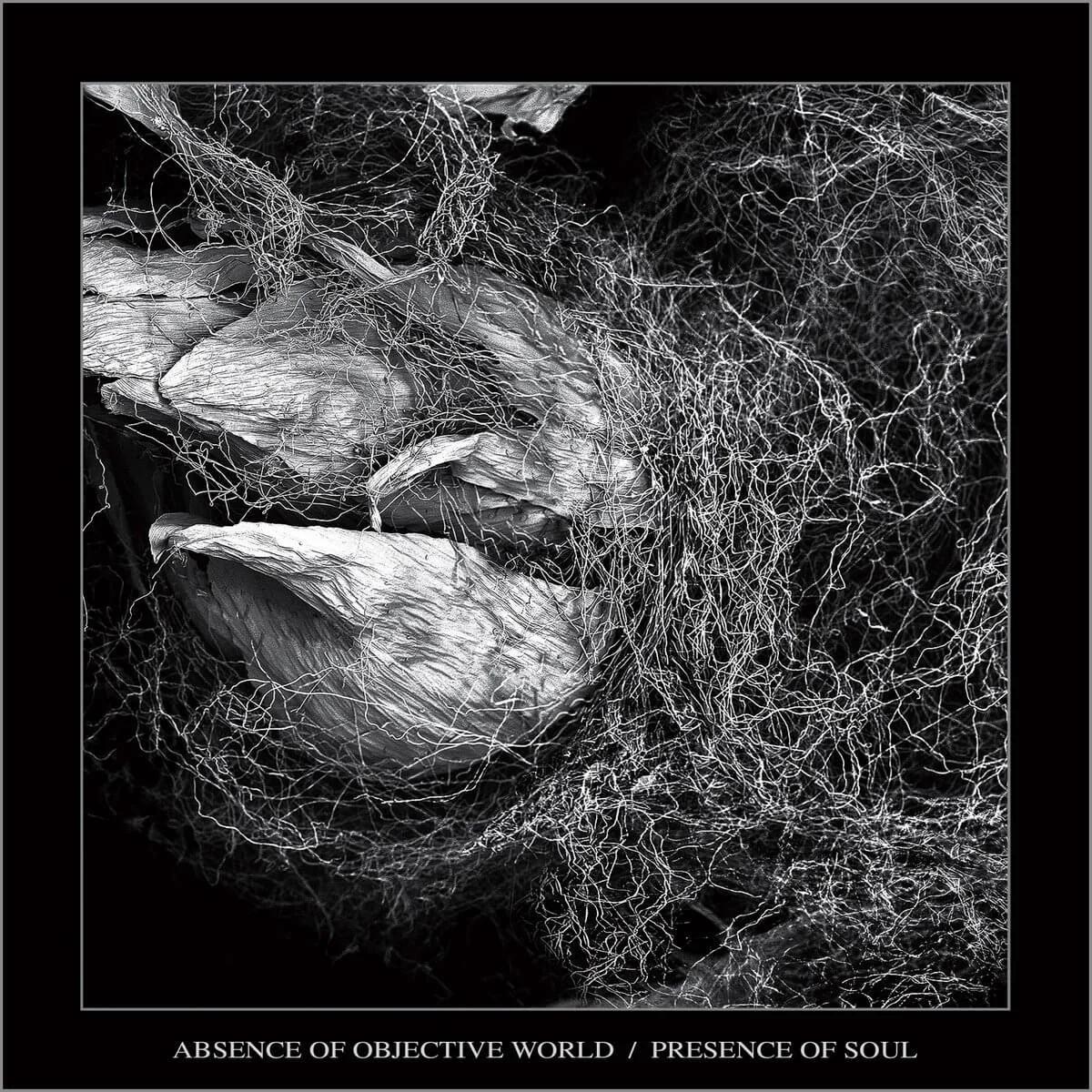 Absence of Objective World by Presence of Soul cover