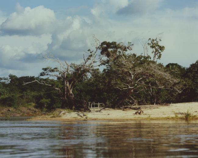 a river with trees on the shore and a bridge in the background .