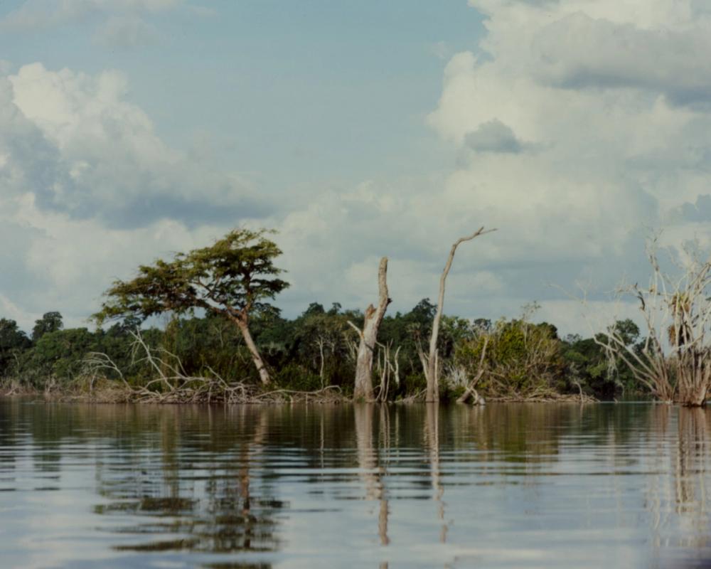 a lake with trees on the shore and a cloudy sky in the background .