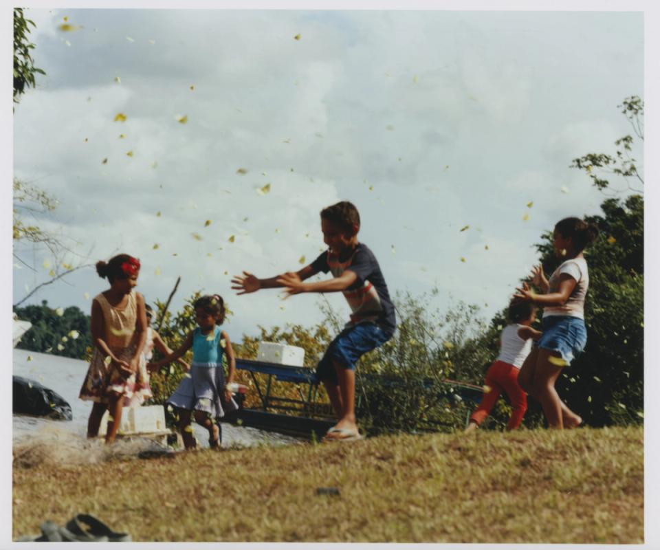 a group of children are playing in the grass on a sunny day .