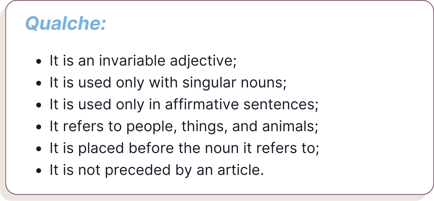 Qualche: è un aggettivo invariabile; si usa solo con i nomi al singolare; si usa solo nelle frasi affermative; si riferisce a persone, cose e animali; si mette prima del nome a cui si riferisce; non è preceduto dall’articolo.