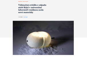 preview of Ecoista website