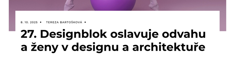 preview of Daily Style website