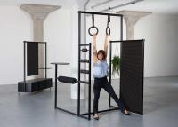 cover image of PerSoma