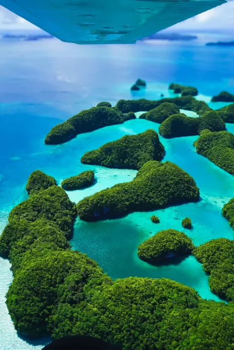 View page palau