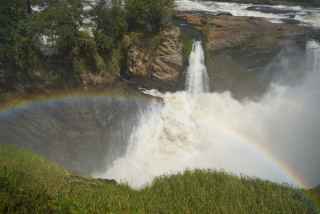 Murchison falls