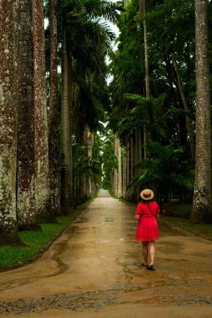 woman walking in the botanical garden in rio de janeiro, brazil