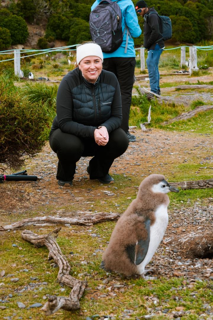 woman watching a baby penguin on martillo island in ushuaia, argentina