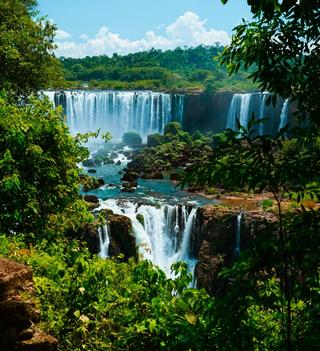 View page brazil