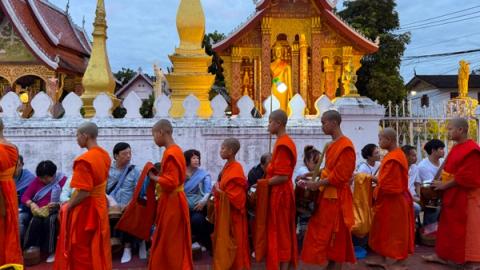 monks in orange robed standing in line waiting for alms at alms giving in luang prabang, laos