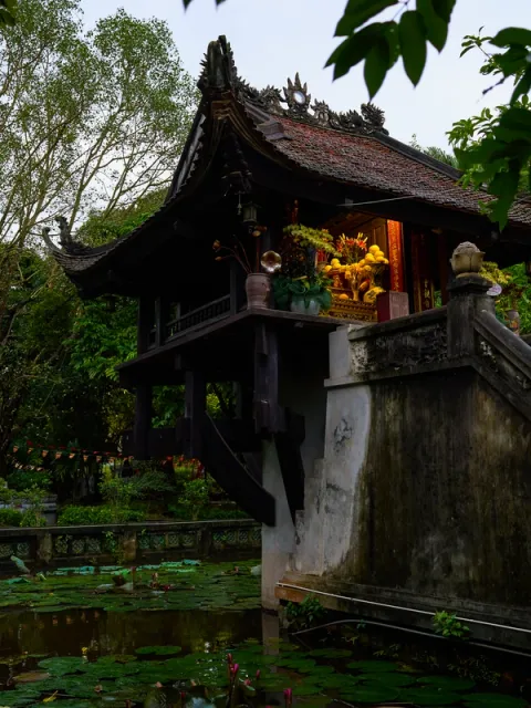 View page vietnam