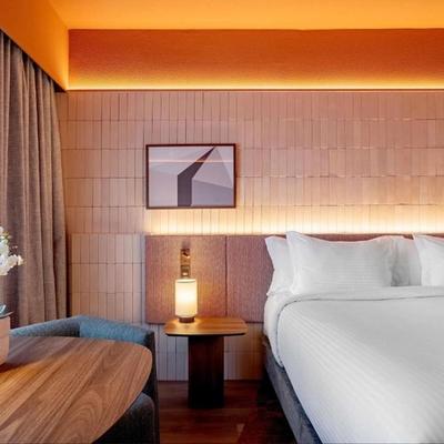 Pullman Sao Paulo Ibirapuera