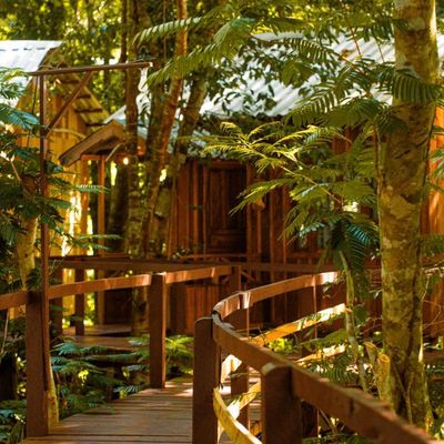 Vista do Lago Jungle Lodge