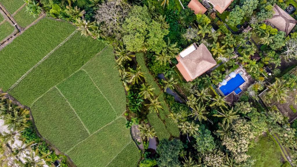 Alam Shanti Ubud