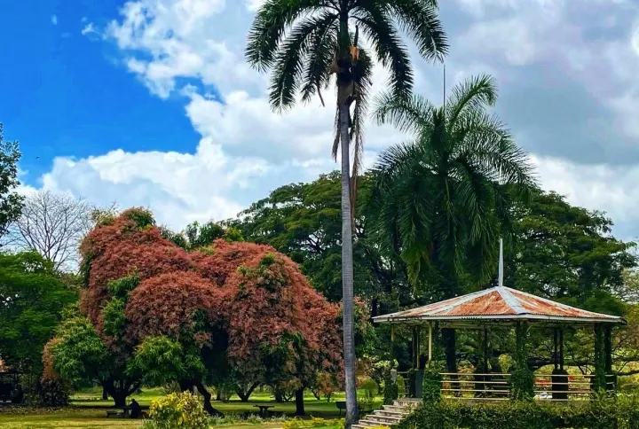 Botanical garden, Kingston