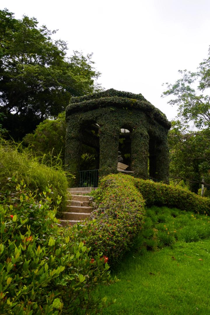an arch filled with trees in rio de janeiro, brazil