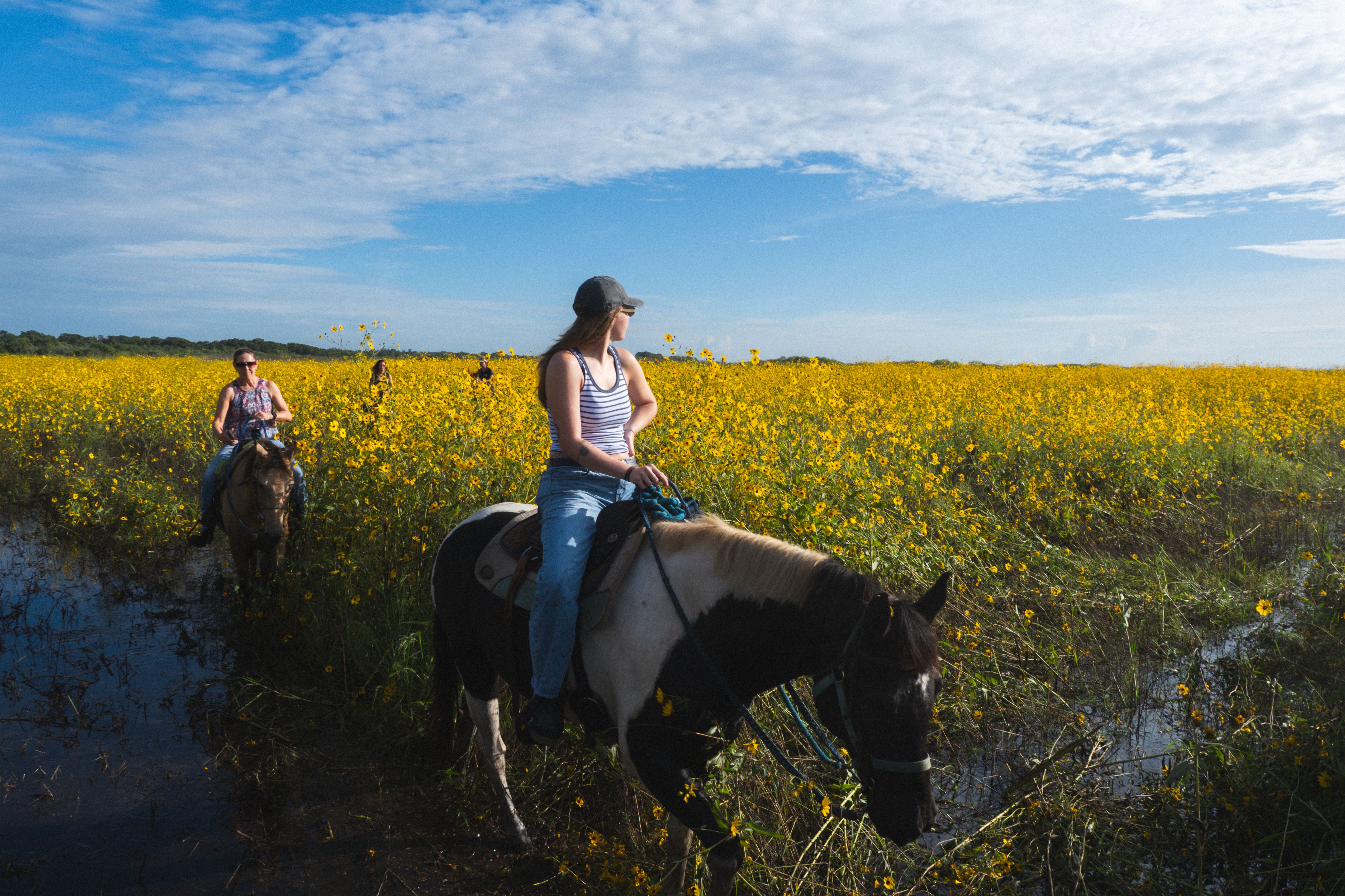 Horse riding through the sunflowers