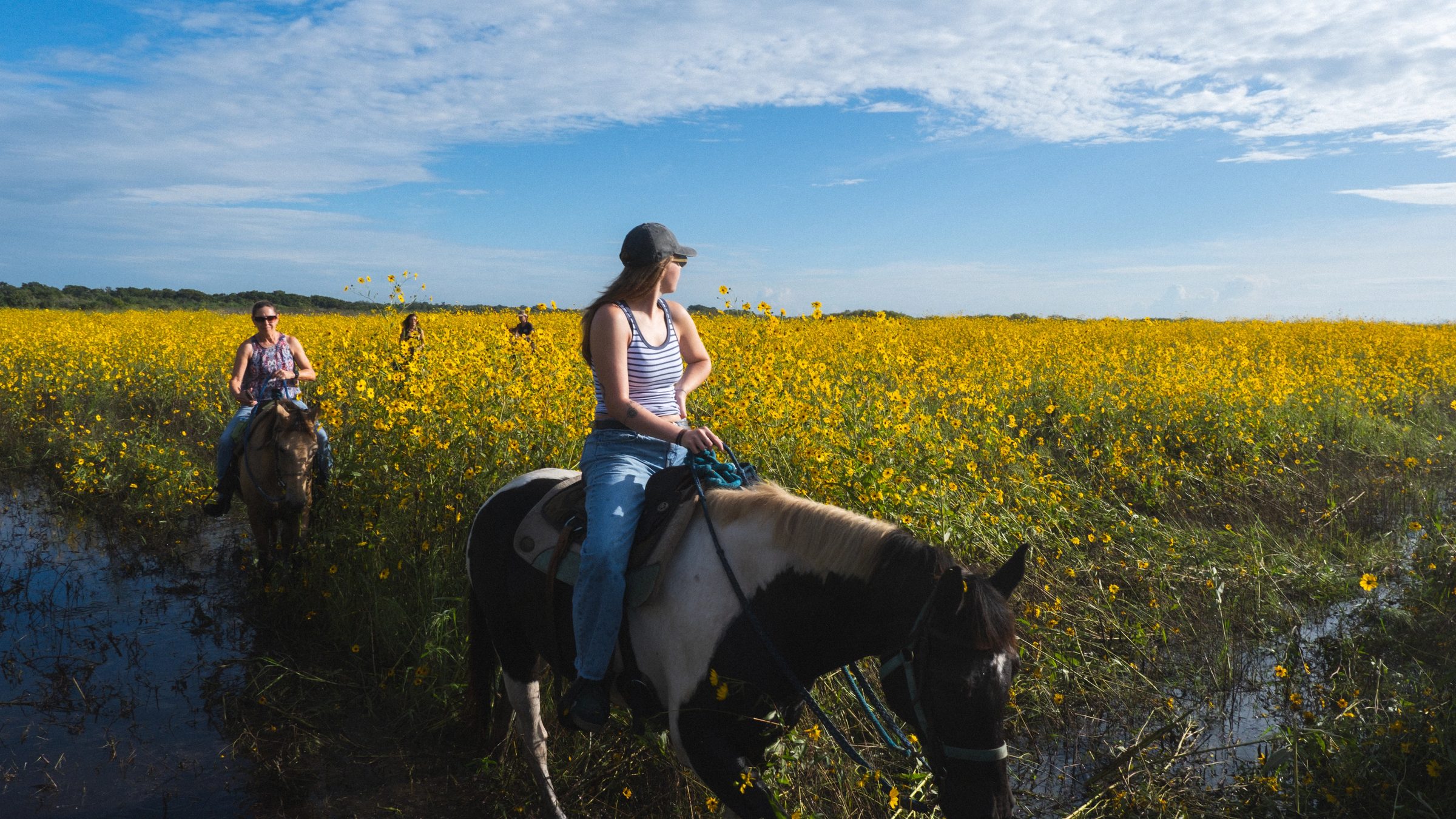 Horse riding through the sunflowers