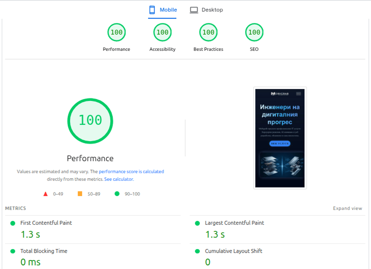Perfect Mobile Performance: 100/100 points