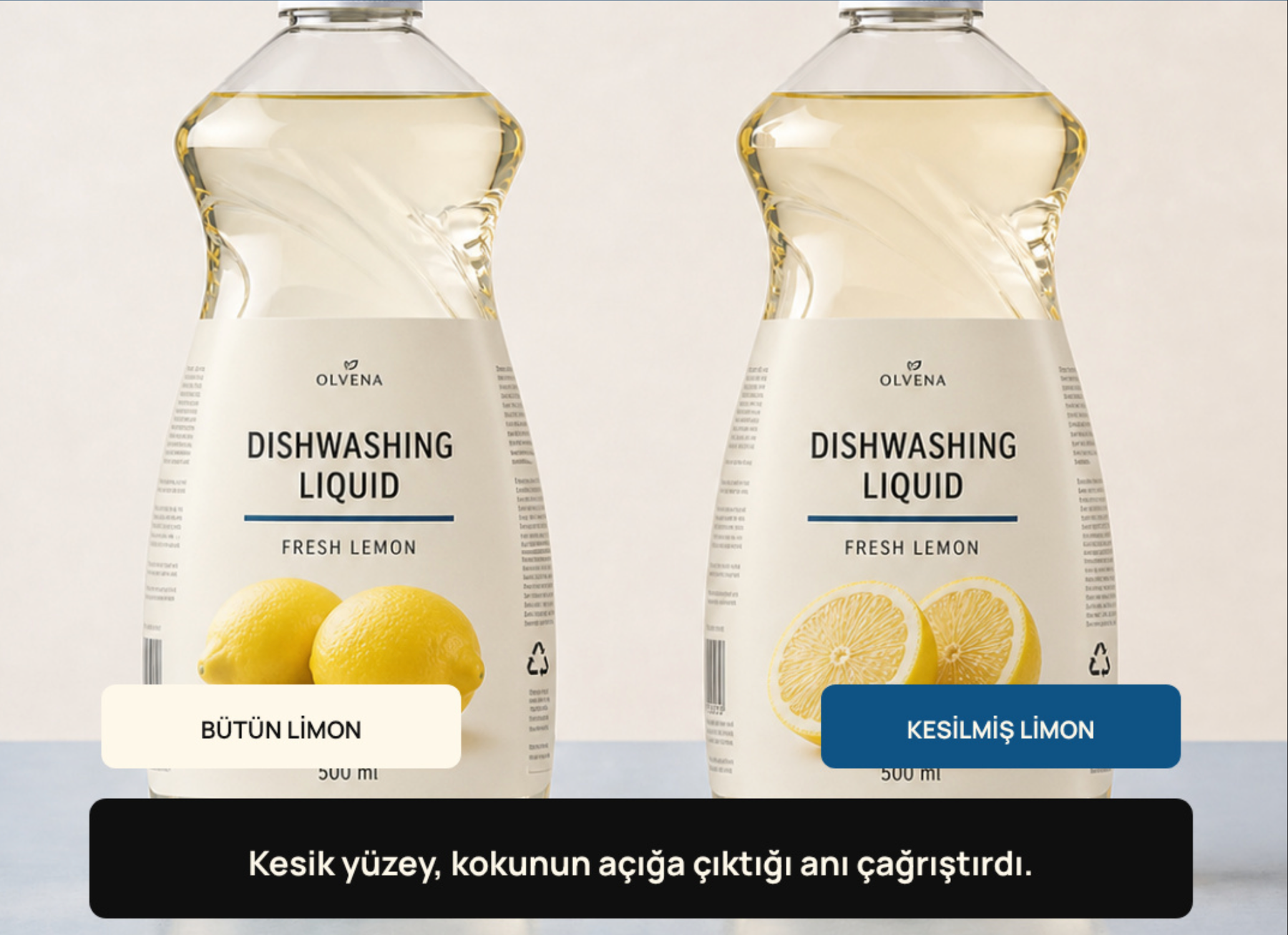 araştırma