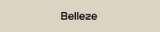 Belleze Furniture logo