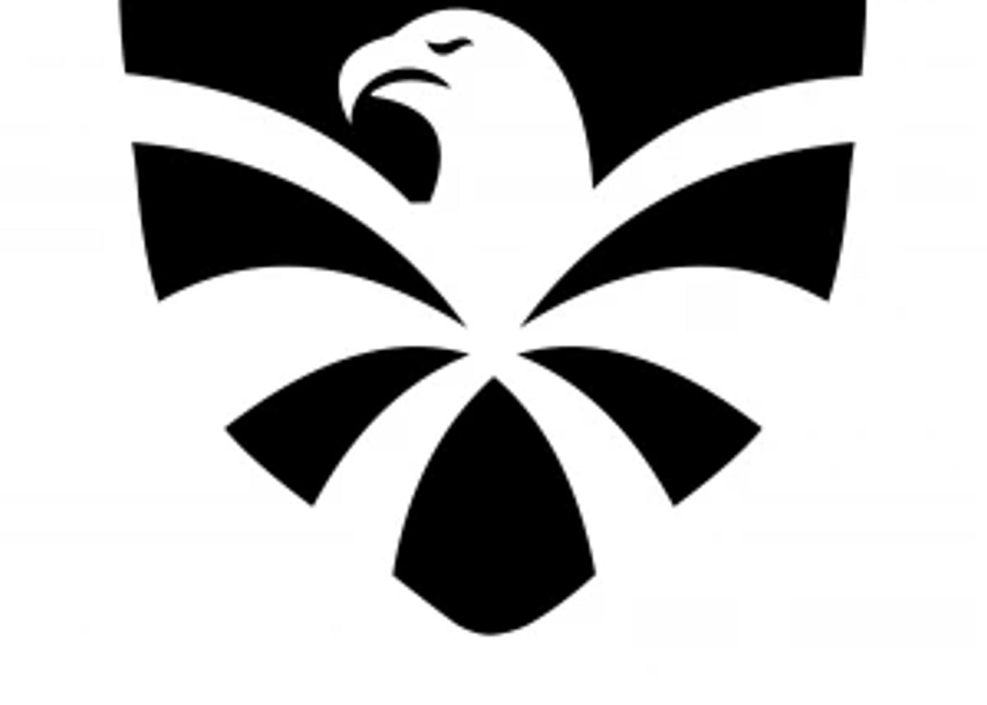 Flying Eagle Skate