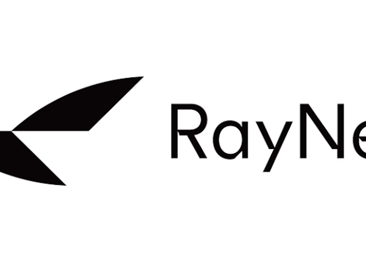 RayNeo