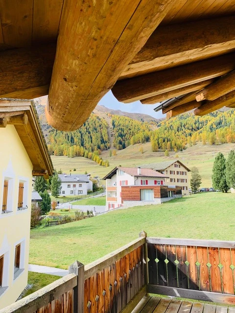 Immagine info