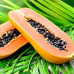 Organic Papain (enzymes from papaya)