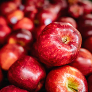 Organic Pectin (enzymes from apple)