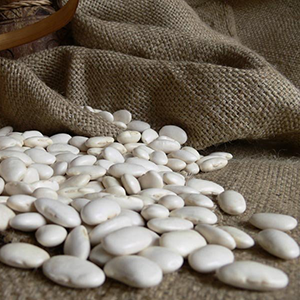 Organic White Kidney Bean Extract