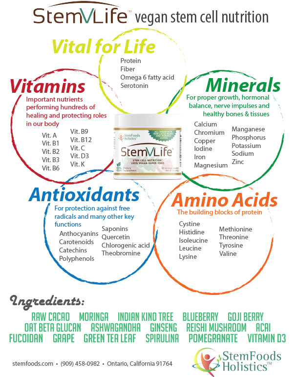 StemVLife flyer