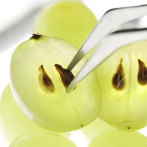 Fruta de piel de uva (100% resveratrol)
