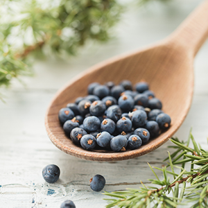 Juniper berry extract