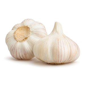 Garlic bulb extract powder