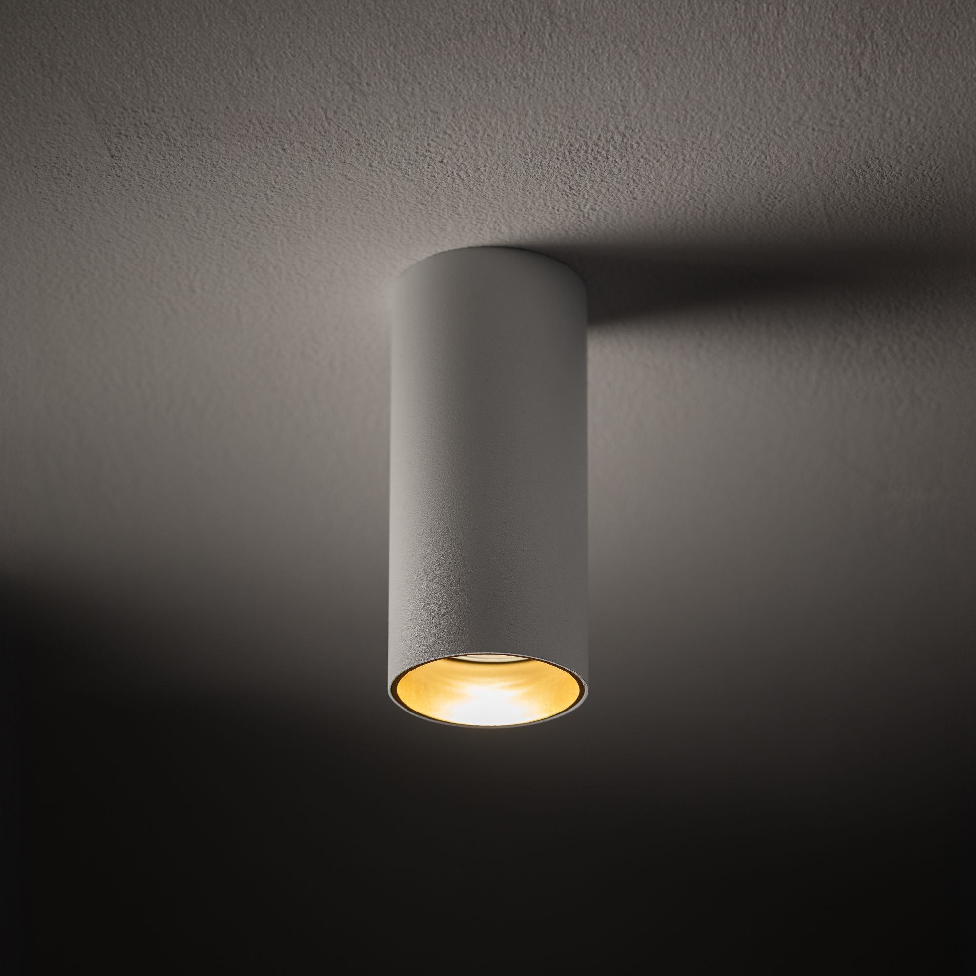 MONO S 10777