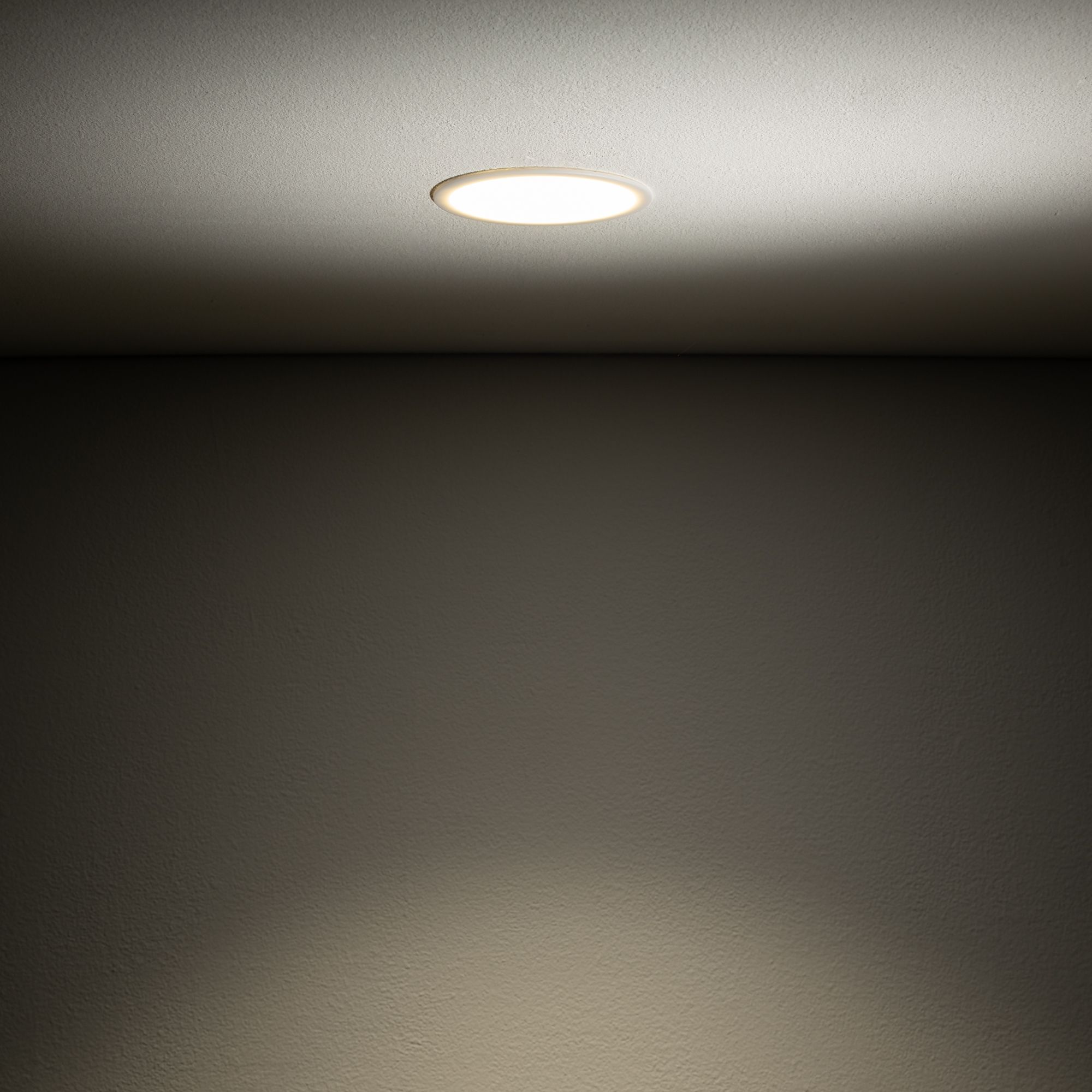 CUP 10788